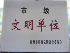 喜訊！公司榮獲“市級文明單位”稱號